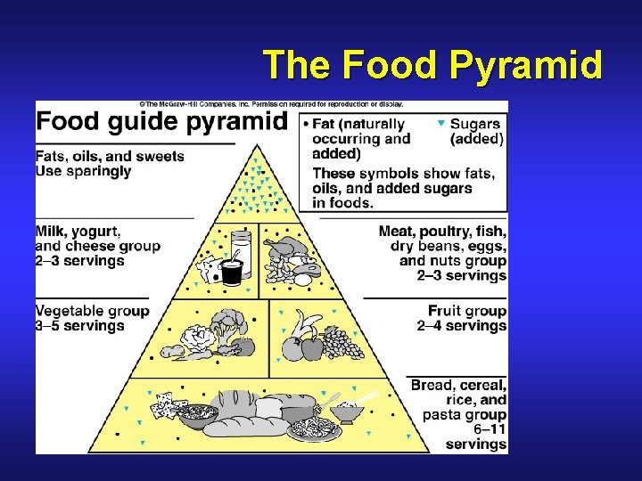 The Food Pyramid 