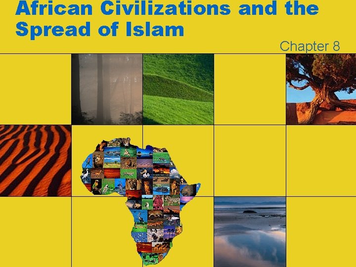 African Civilizations and the Spread of Islam Chapter 8 