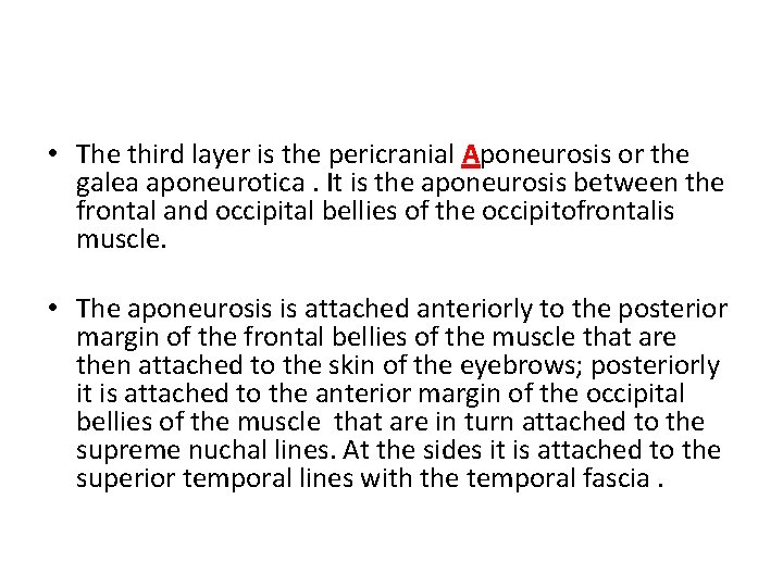  • The third layer is the pericranial Aponeurosis or the galea aponeurotica. It