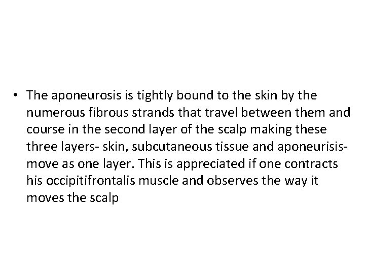  • The aponeurosis is tightly bound to the skin by the numerous fibrous