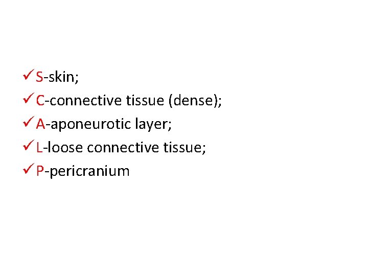 ü S-skin; ü C-connective tissue (dense); ü A-aponeurotic layer; ü L-loose connective tissue; ü