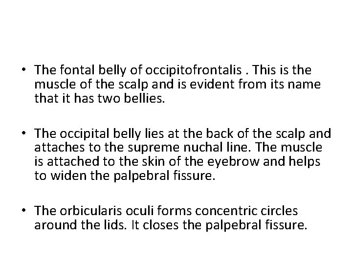  • The fontal belly of occipitofrontalis. This is the muscle of the scalp