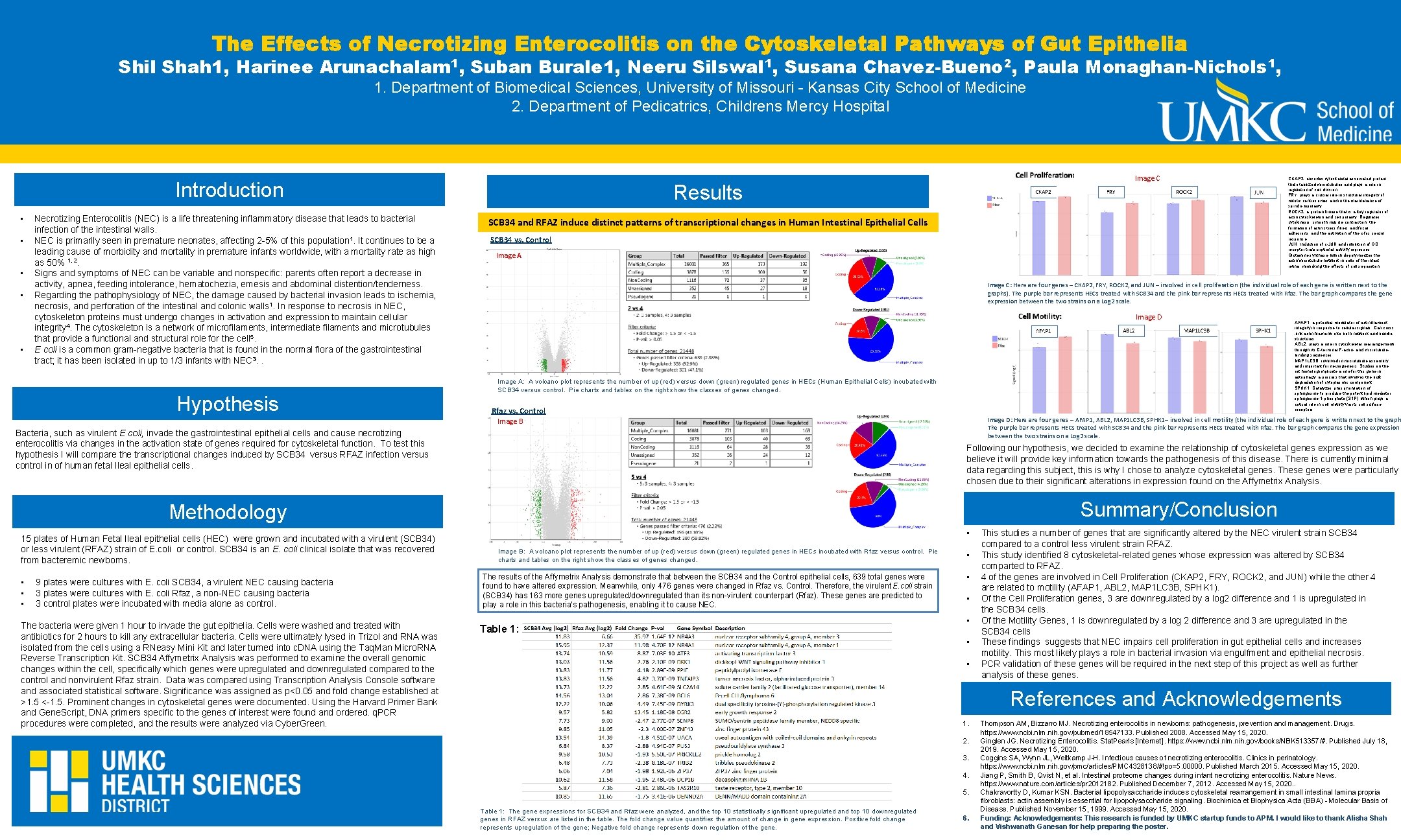 The Effects of Necrotizing Enterocolitis on Cytoskeletal Pathways of Gut Epithelia Title ofthe Poster