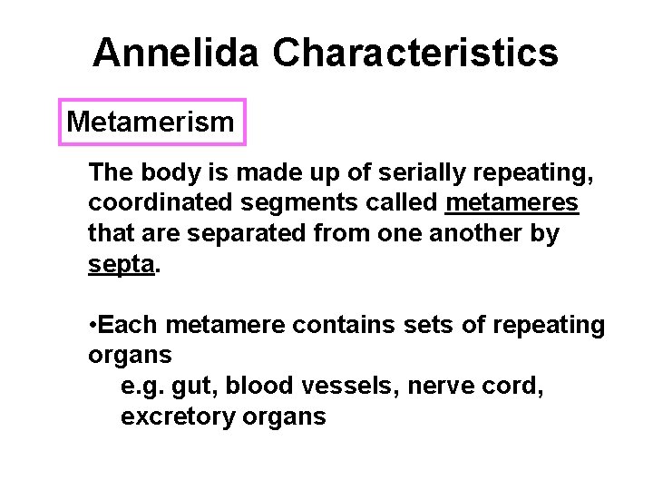 Annelida Characteristics Metamerism The body is made up of serially repeating, coordinated segments called