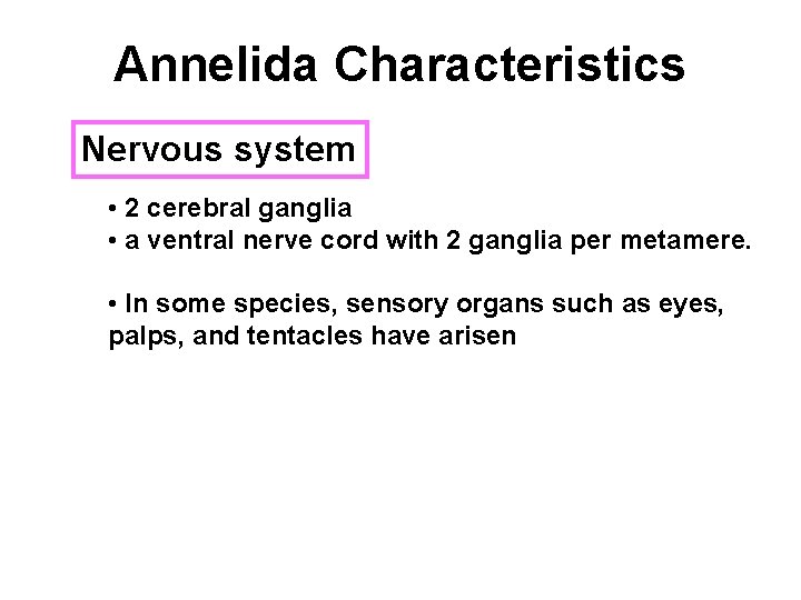 Annelida Characteristics Nervous system • 2 cerebral ganglia • a ventral nerve cord with