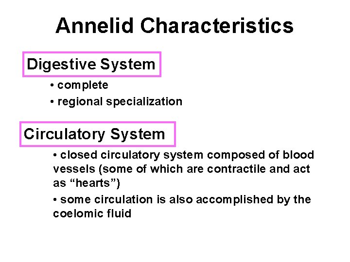 Annelid Characteristics Digestive System • complete • regional specialization Circulatory System • closed circulatory