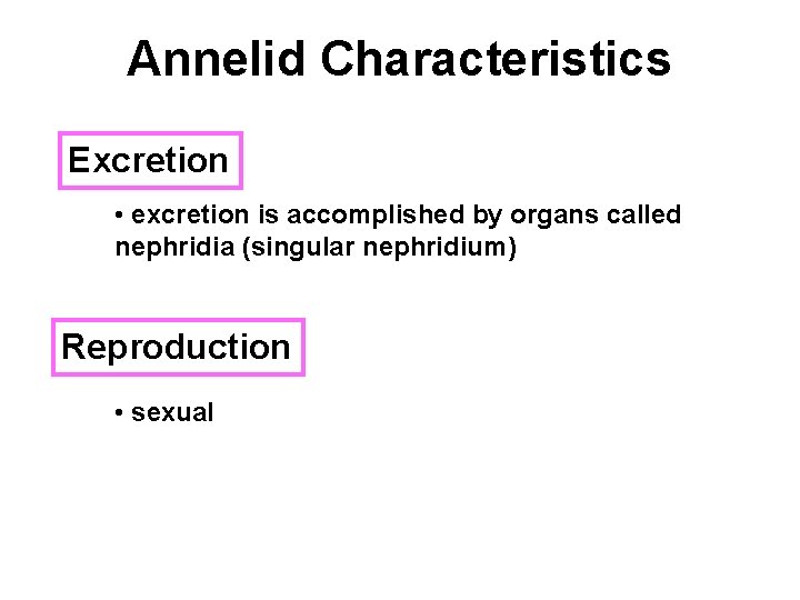Annelid Characteristics Excretion • excretion is accomplished by organs called nephridia (singular nephridium) Reproduction