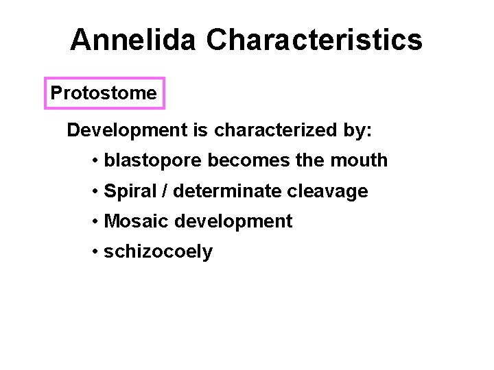 Annelida Characteristics Protostome Development is characterized by: • blastopore becomes the mouth • Spiral
