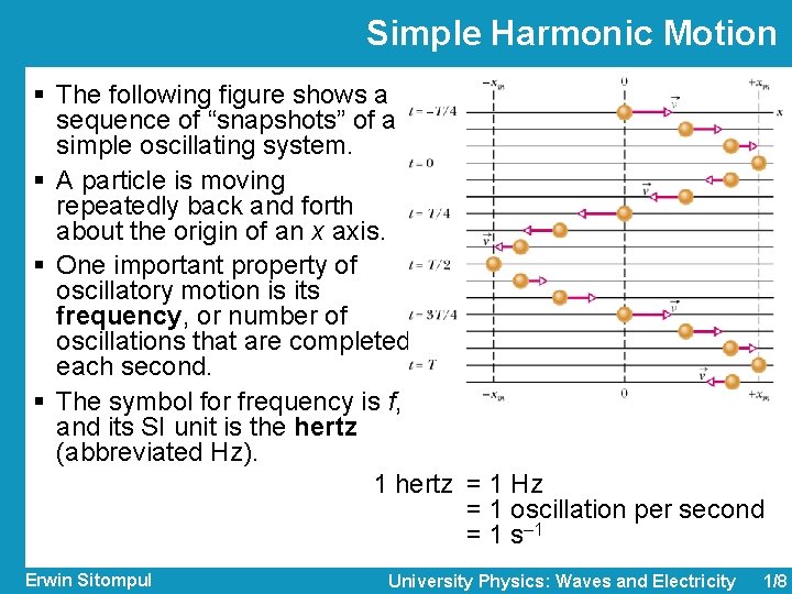 Simple Harmonic Motion § The following figure shows a sequence of “snapshots” of a