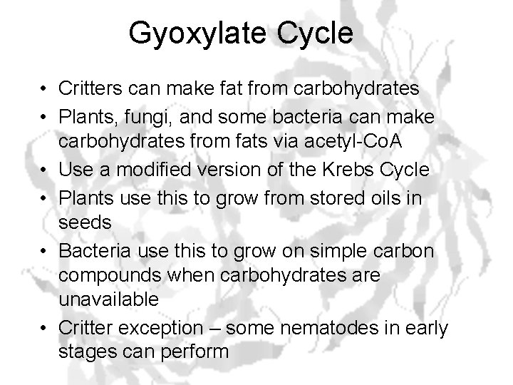 Gyoxylate Cycle • Critters can make fat from carbohydrates • Plants, fungi, and some