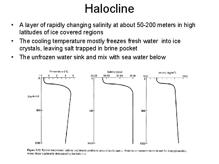 Halocline • A layer of rapidly changing salinity at about 50 -200 meters in