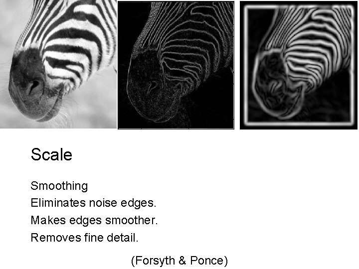 Scale Smoothing Eliminates noise edges. Makes edges smoother. Removes fine detail. (Forsyth & Ponce)