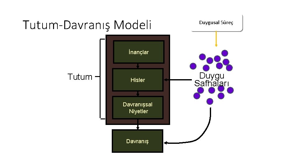 Tutum-Davranış Modeli Duygusal Süreç İnançlar Tutum Hisler Davranışsal Niyetler Davranış Duygu Safhaları 