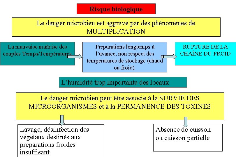 Risque biologique Le danger microbien est aggravé par des phénomènes de MULTIPLICATION La mauvaise