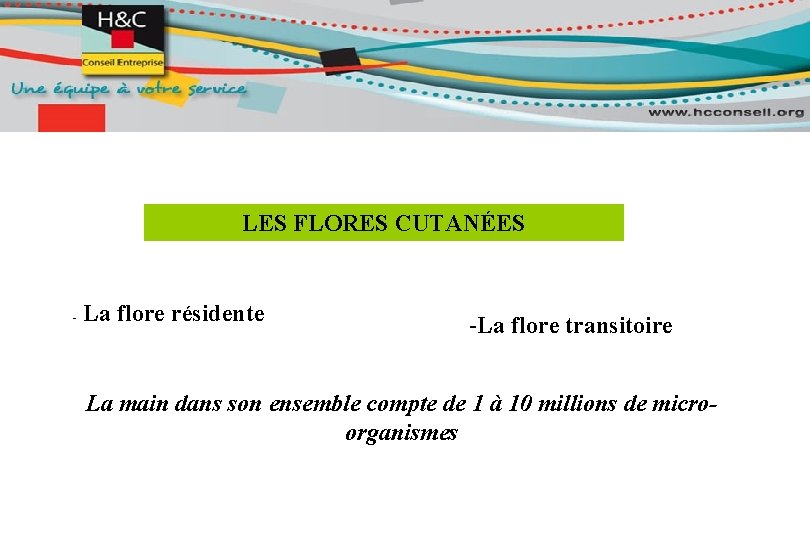 LES FLORES CUTANÉES - La flore résidente -La flore transitoire La main dans son