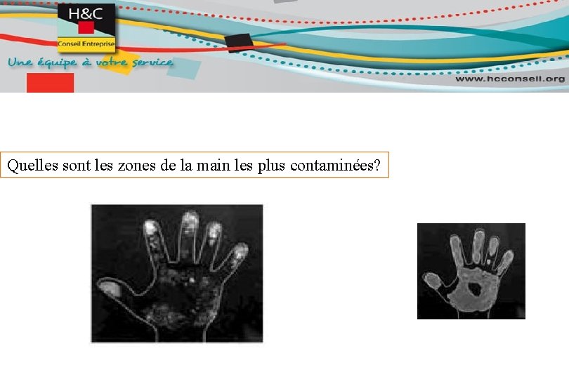 Quelles sont les zones de la main les plus contaminées? 