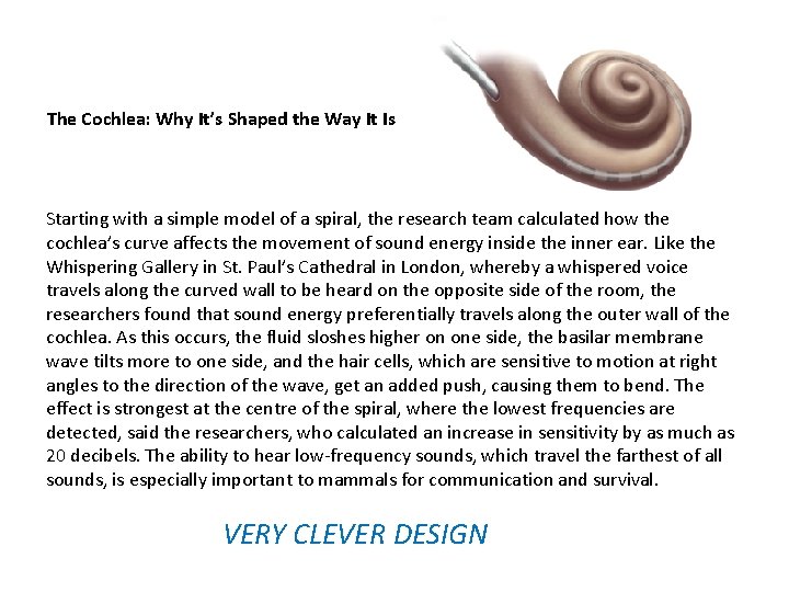 The Cochlea: Why It’s Shaped the Way It Is Starting with a simple model