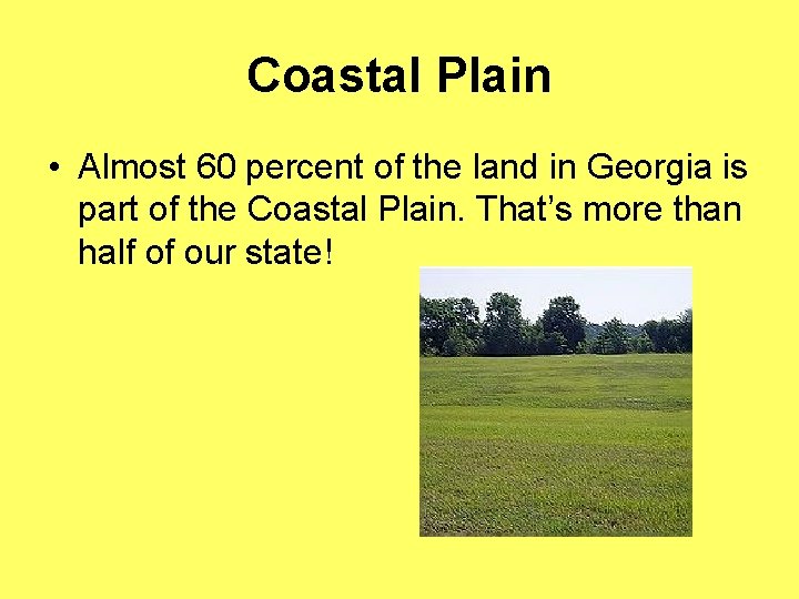 Coastal Plain • Almost 60 percent of the land in Georgia is part of