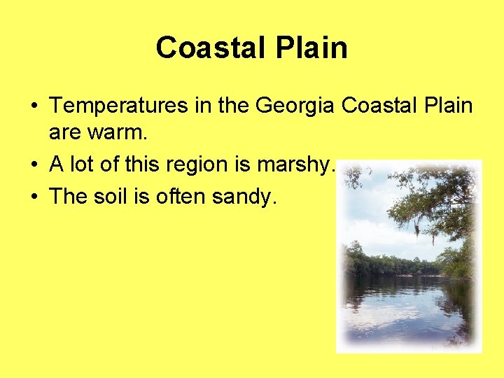Coastal Plain • Temperatures in the Georgia Coastal Plain are warm. • A lot