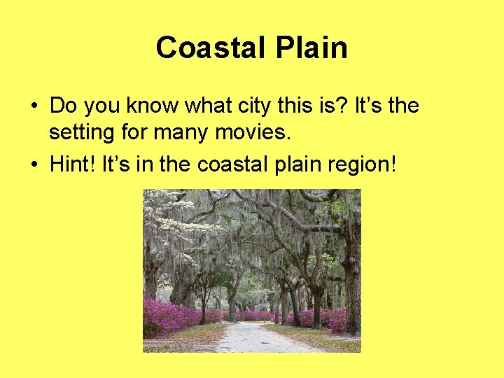 Coastal Plain • Do you know what city this is? It’s the setting for