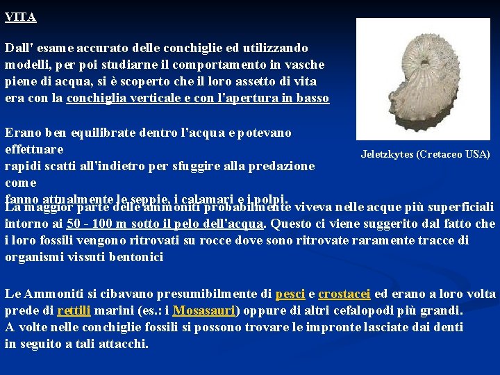 VITA Dall' esame accurato delle conchiglie ed utilizzando modelli, per poi studiarne il comportamento