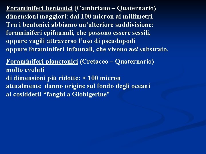 Foraminiferi bentonici (Cambriano – Quaternario) dimensioni maggiori: dai 100 micron ai millimetri. Tra i