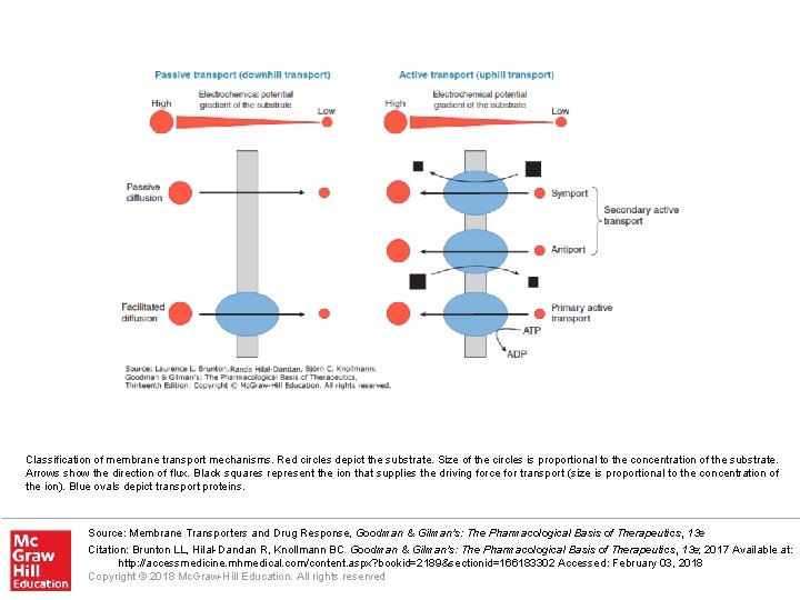 Classification of membrane transport mechanisms. Red circles depict the substrate. Size of the circles