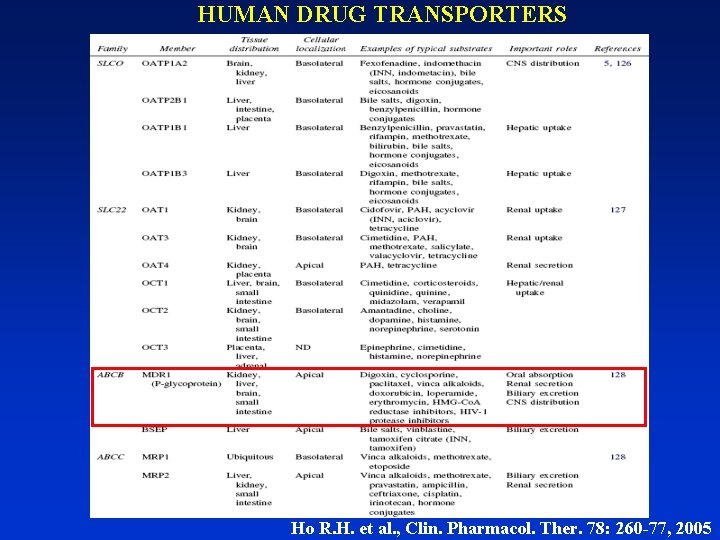 HUMAN DRUG TRANSPORTERS Ho R. H. et al. , Clin. Pharmacol. Ther. 78: 260