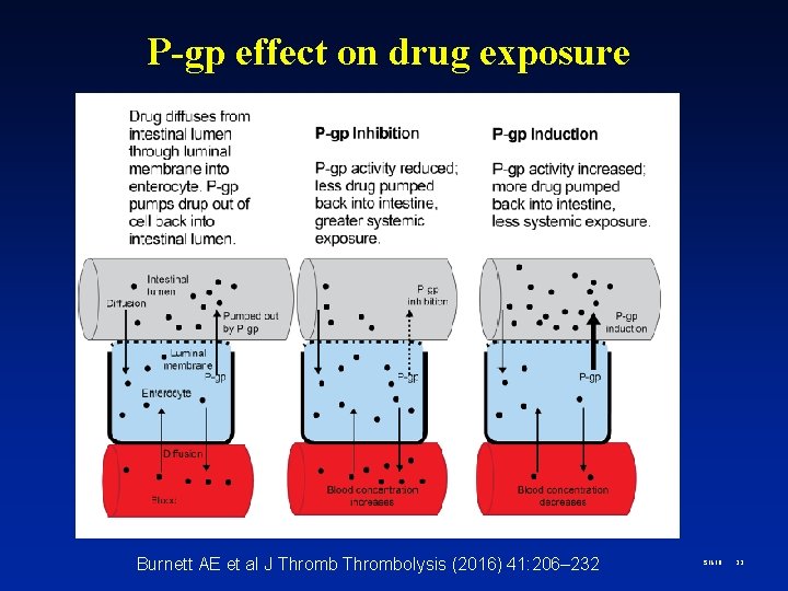 P-gp effect on drug exposure Burnett AE et al J Thrombolysis (2016) 41: 206–