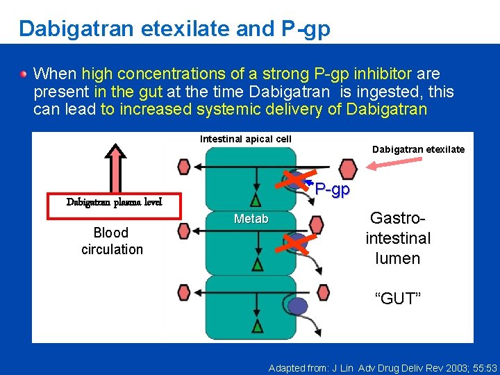 Dabigatran etexilate and P-gp When high concentrations of a strong P-gp inhibitor are present