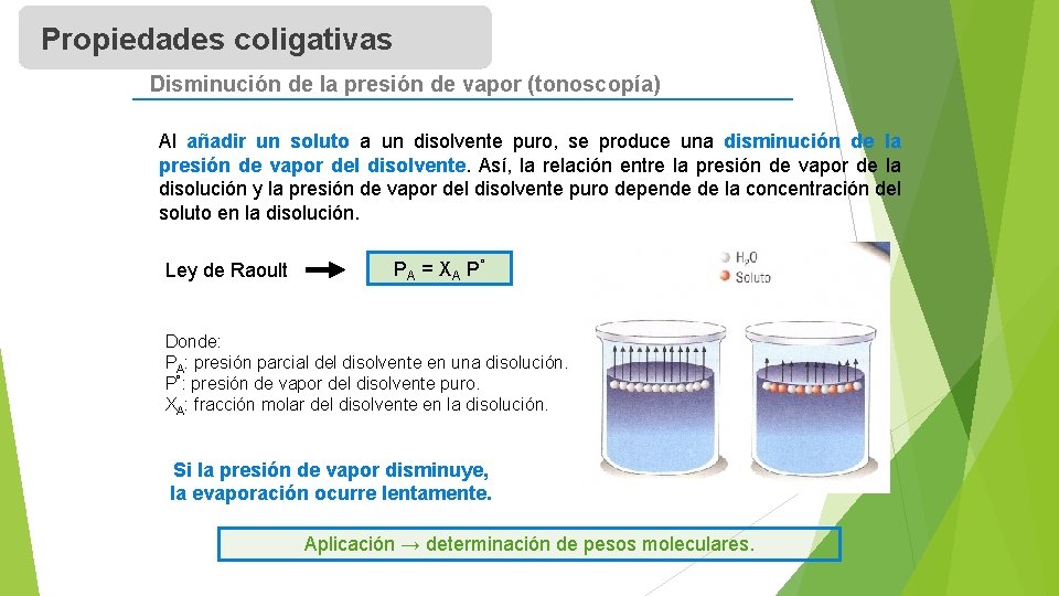 Propiedades coligativas Disminución de la presión de vapor (tonoscopía) Al añadir un soluto a