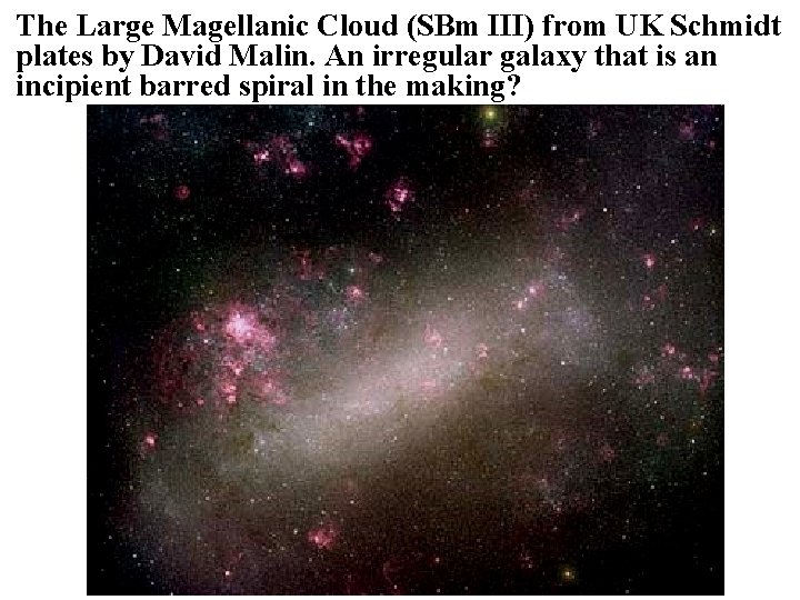 The Large Magellanic Cloud (SBm III) from UK Schmidt plates by David Malin. An