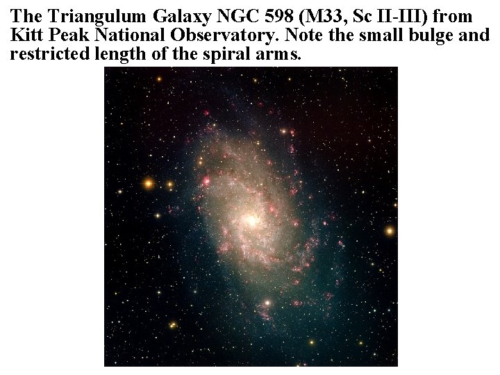 The Triangulum Galaxy NGC 598 (M 33, Sc II-III) from Kitt Peak National Observatory.