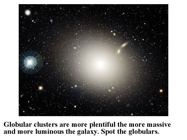 Globular clusters are more plentiful the more massive and more luminous the galaxy. Spot