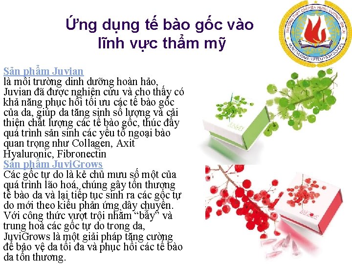 Ứng dụng tế bào gốc vào lĩnh vực thẩm mỹ Sản phẩm Juvian là