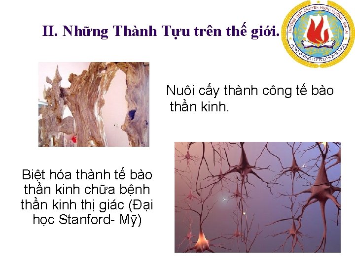 II. Những Thành Tựu trên thế giới. Nuôi cấy thành công tế bào thần