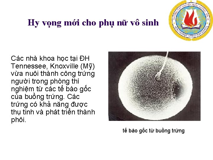  Hy vọng mới cho phụ nữ vô sinh Các nhà khoa học tại