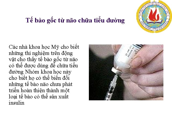  Tế bào gốc từ não chữa tiểu đường Các nhà khoa học Mỹ