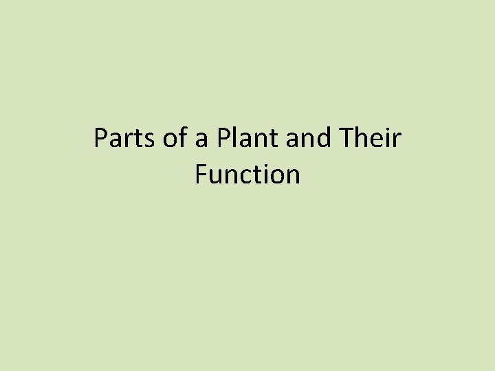 Parts of a Plant and Their Function 