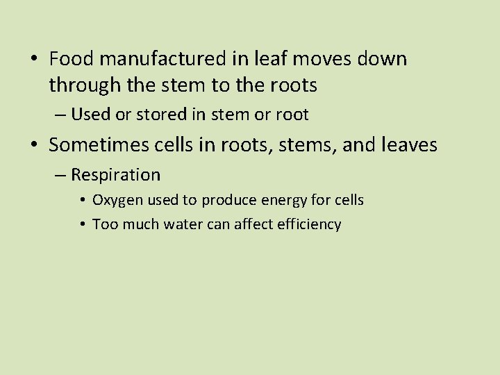  • Food manufactured in leaf moves down through the stem to the roots
