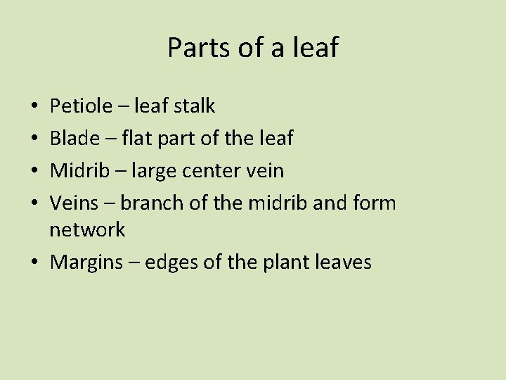Parts of a leaf Petiole – leaf stalk Blade – flat part of the