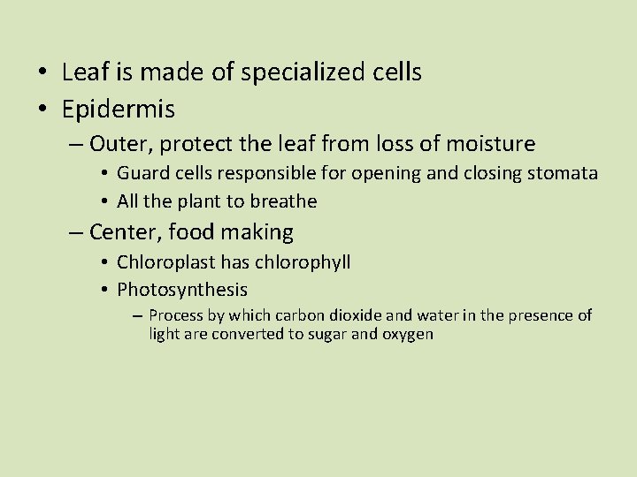 • Leaf is made of specialized cells • Epidermis – Outer, protect the