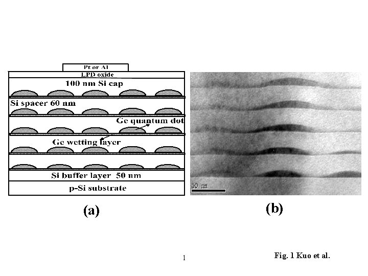 (b) (a) 1 Fig. 1 Kuo et al. 