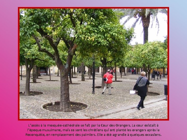 L’accès à la mosquée-cathédrale se fait par la Cour des Orangers. La cour existait