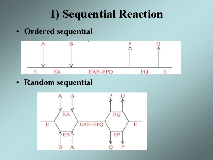 1) Sequential Reaction • Ordered sequential • Random sequential 