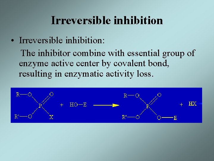 Irreversible inhibition • Irreversible inhibition: The inhibitor combine with essential group of enzyme active