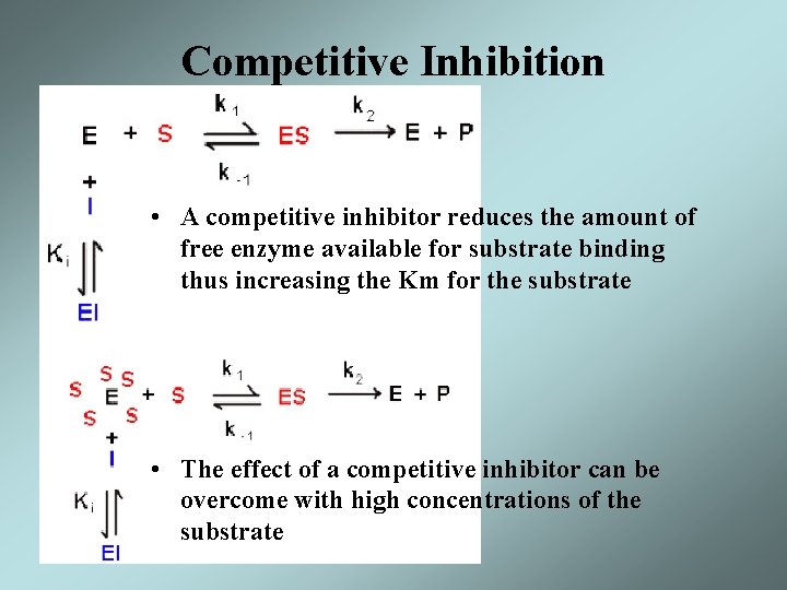 Competitive Inhibition • A competitive inhibitor reduces the amount of free enzyme available for