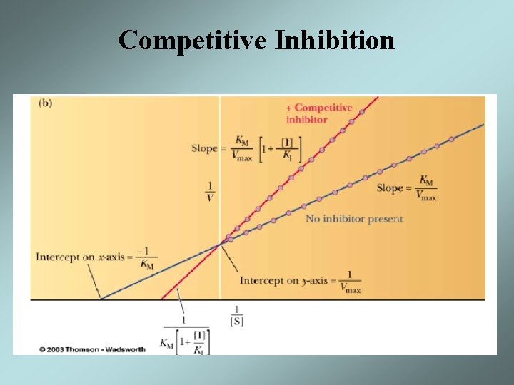 Competitive Inhibition 