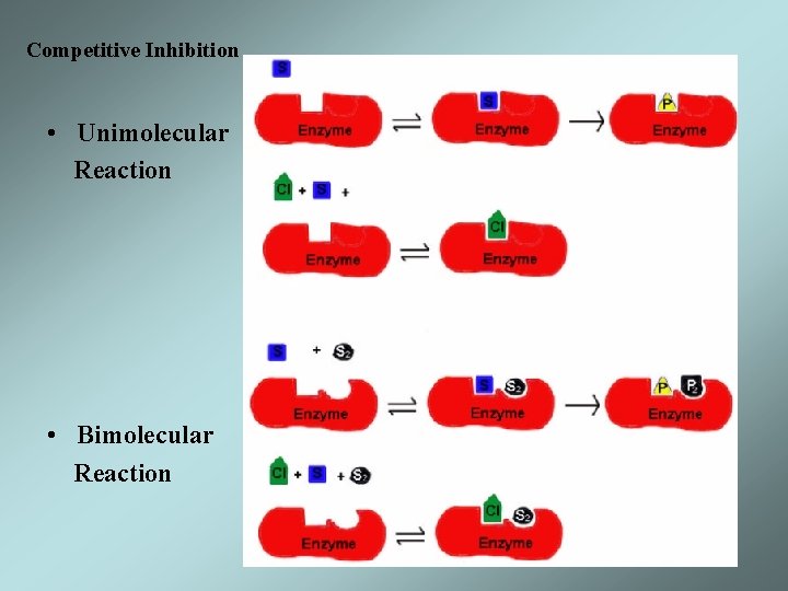 Competitive Inhibition • Unimolecular Reaction • Bimolecular Reaction 