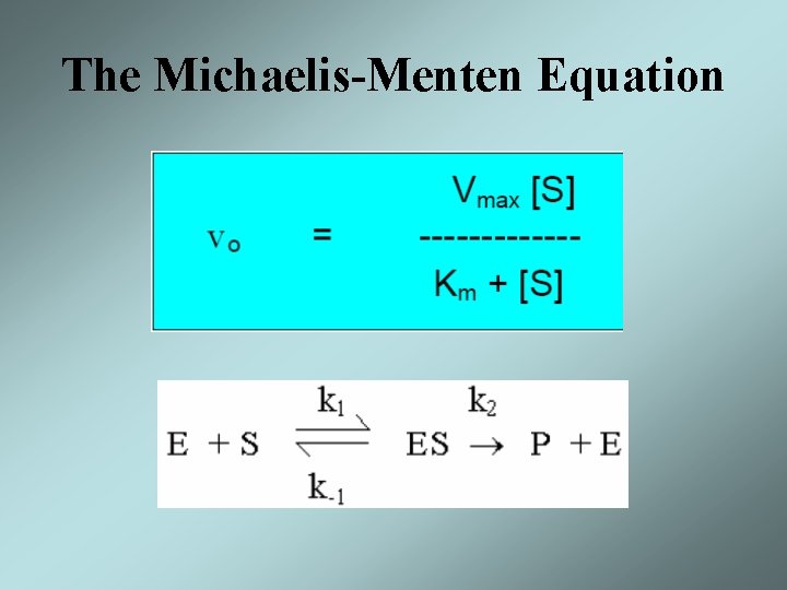 The Michaelis-Menten Equation 